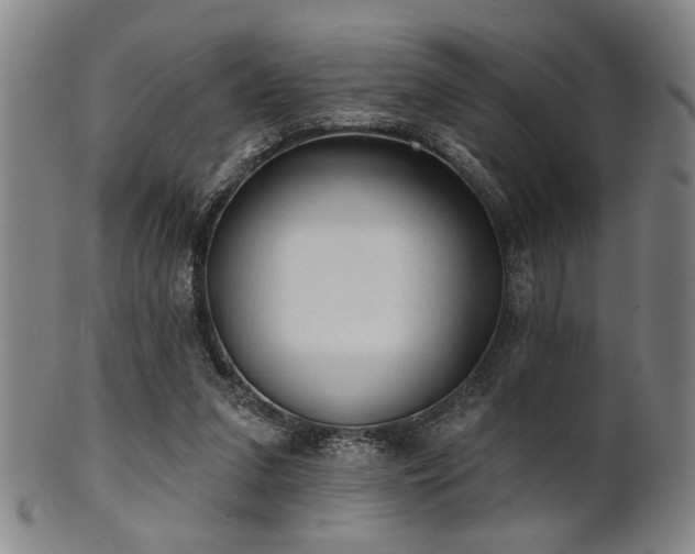 X0000102460207200808081235