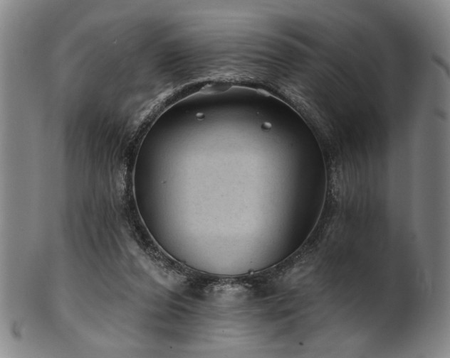 X0000102460208200808081235