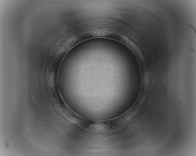 X0000102460209200808081235