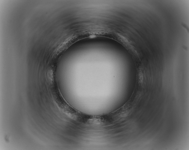 X0000102460211200808081234