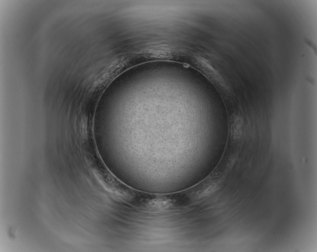 X0000102460213200808081234