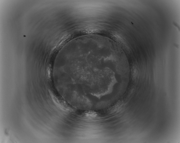 X0000102460214200808081234