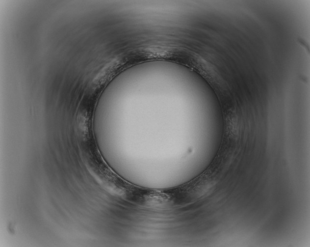 X0000102460215200808081234