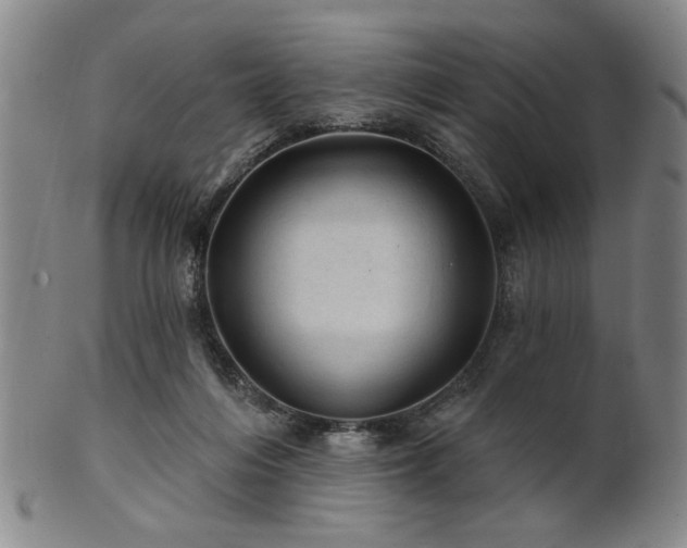 X0000102460216200808081234