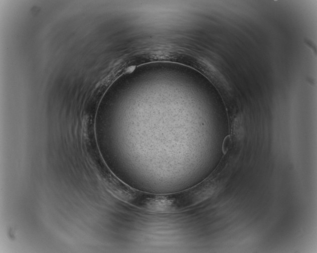 X0000102460217200808081234