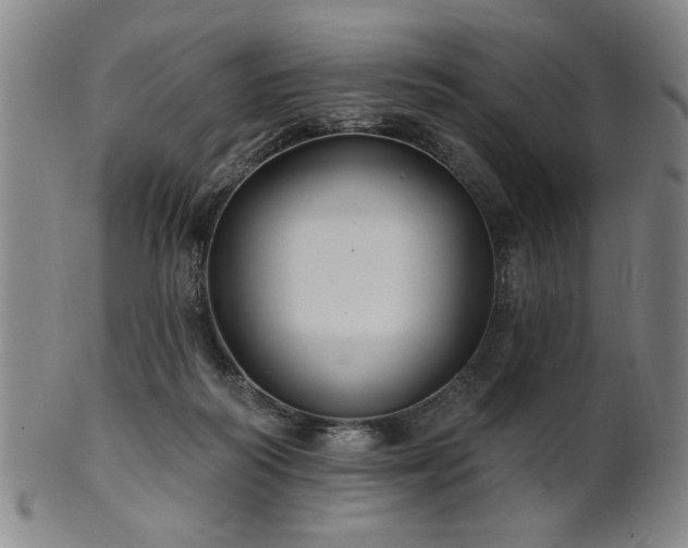 X0000102460218200808081234