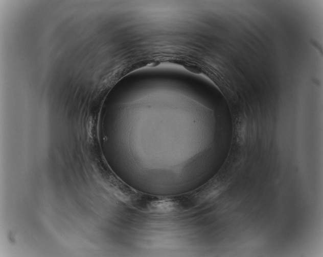 X0000102460219200808081234