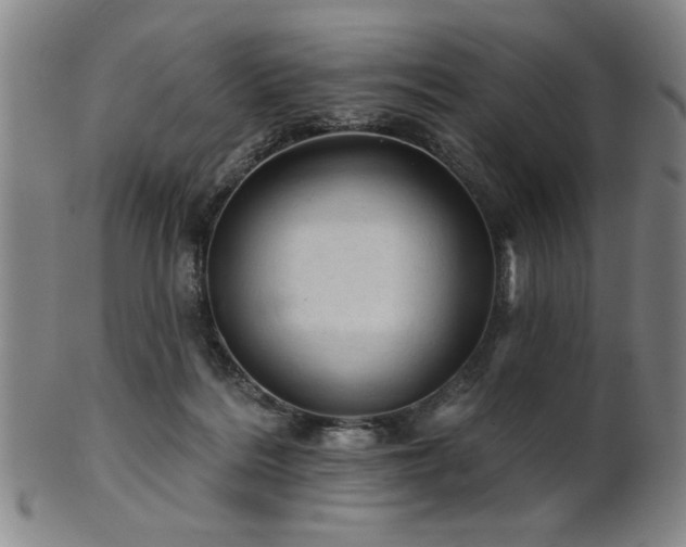 X0000102460220200808081234