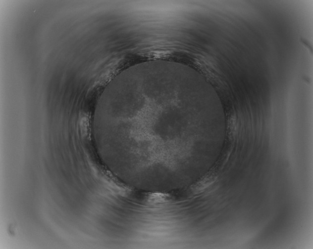 X0000102460222200808081234