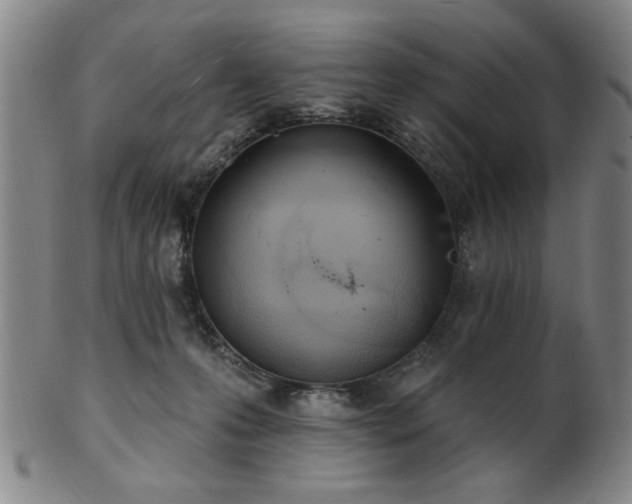 X0000102460223200808081234