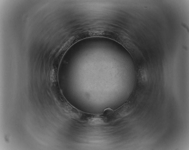 X0000102460224200808081234