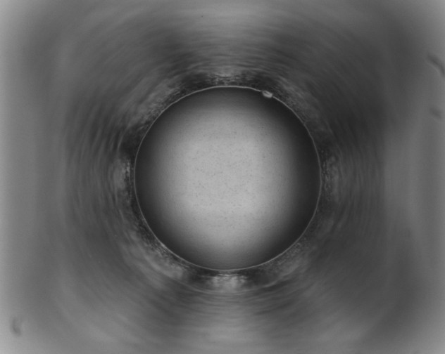 X0000102460225200808081234