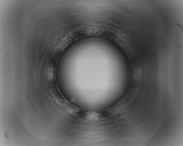 X0000102460226200808081234