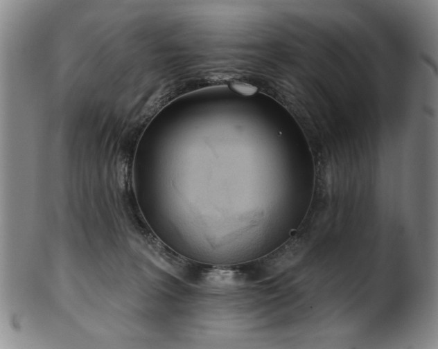 X0000102460227200808081234