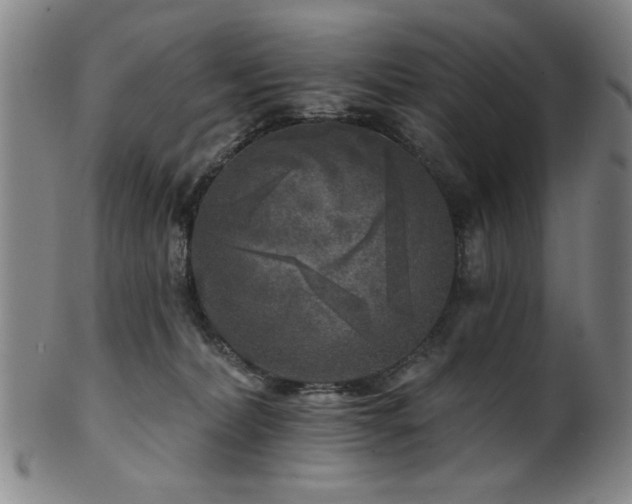 X0000102460228200808081234