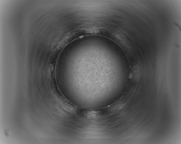 X0000102460229200808081234