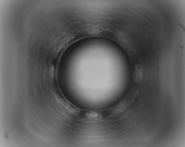 X0000102460230200808081234