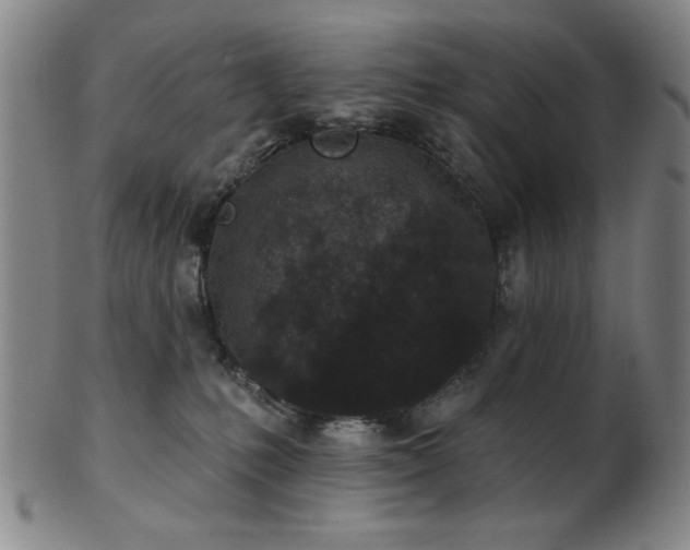 X0000102460231200808081234