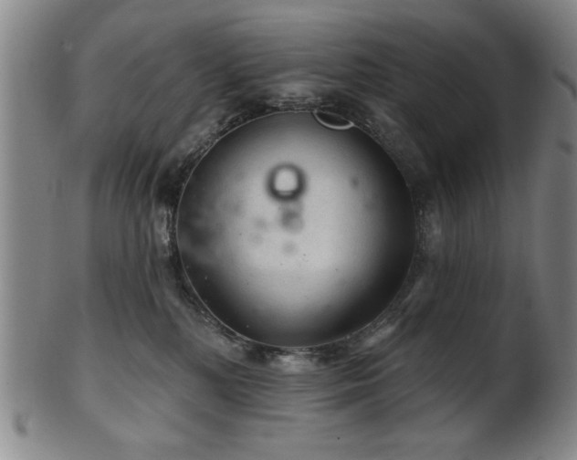 X0000102460232200808081234