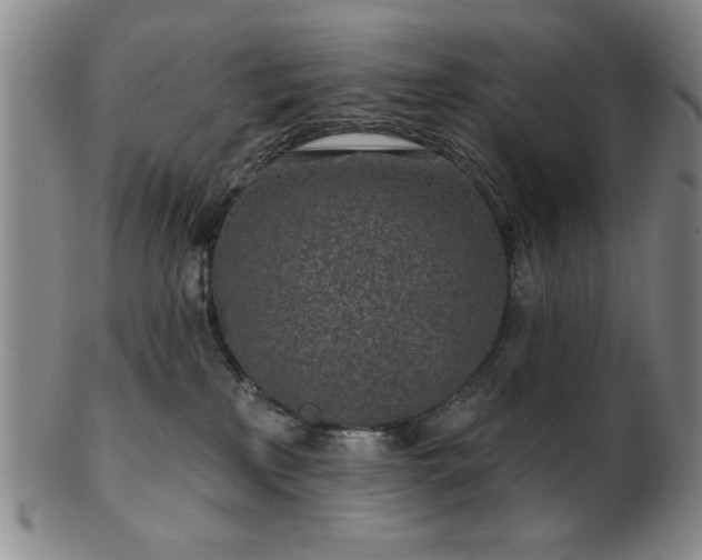 X0000102460233200808081234