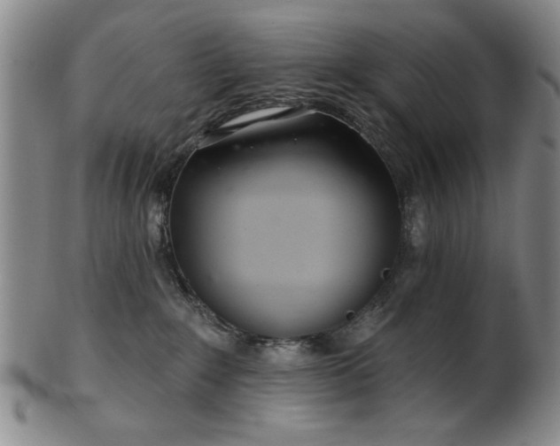 X0000102460235200808081234