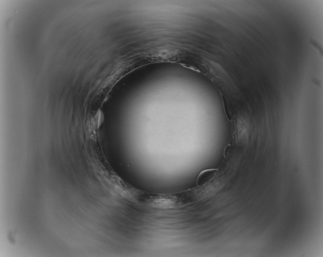 X0000102460236200808081234