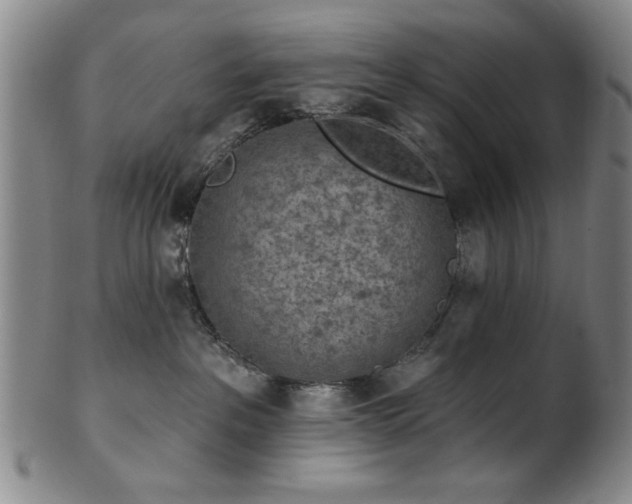 X0000102460237200808081234