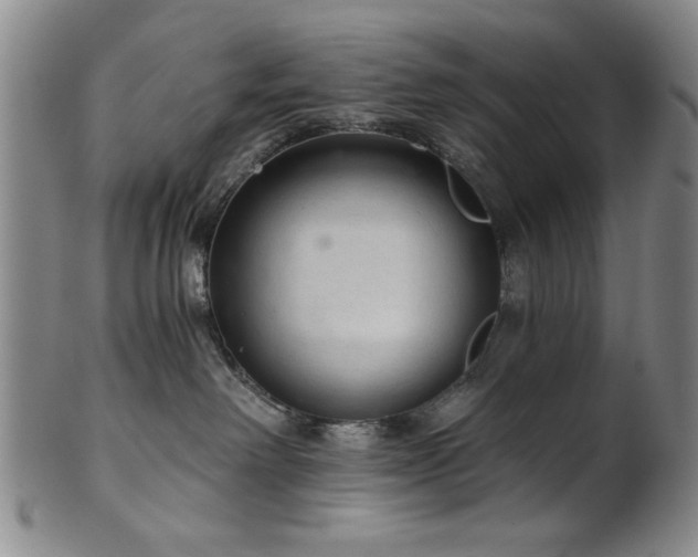 X0000102460238200808081234