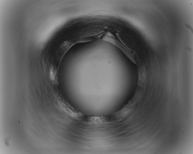 X0000102460239200808081234