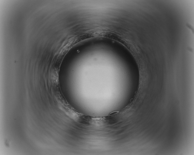 X0000102460240200808081234