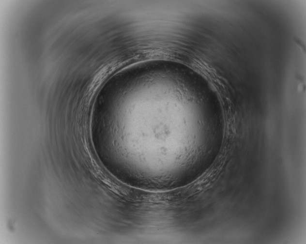 X0000102460241200808081233