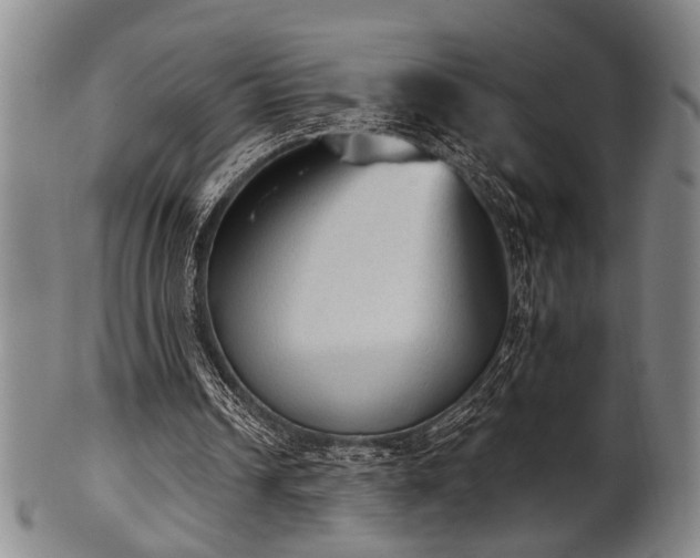 X0000102460242200808081233