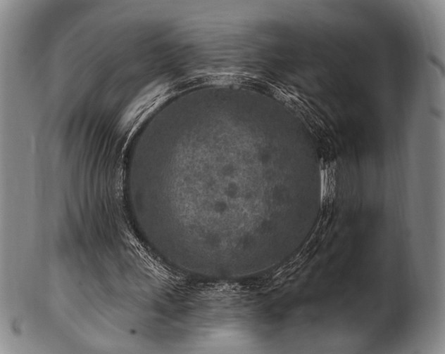 X0000102460243200808081233