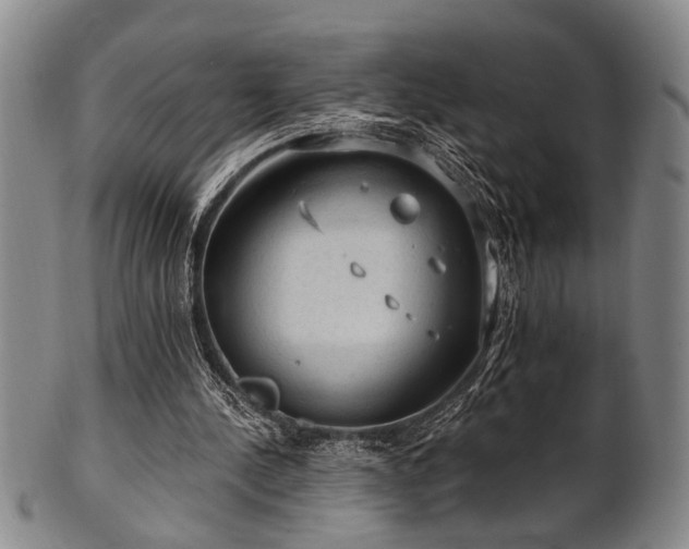 X0000102460244200808081233