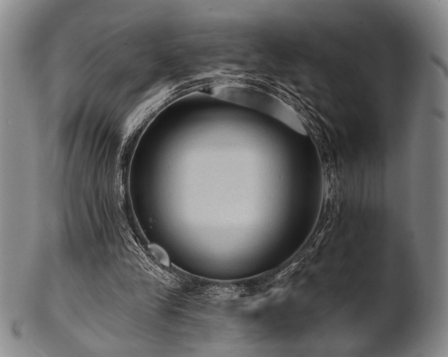 X0000102460245200808081233