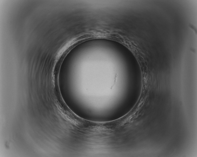 X0000102460246200808081233