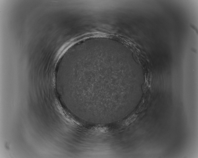 X0000102460247200808081234