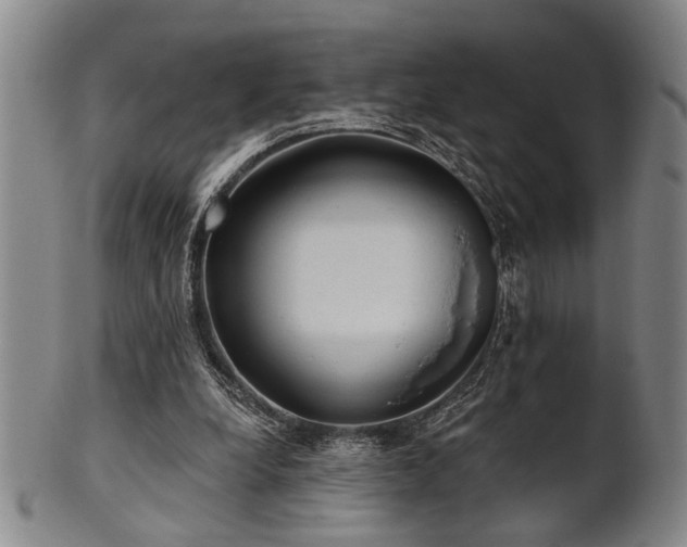 X0000102460248200808081234