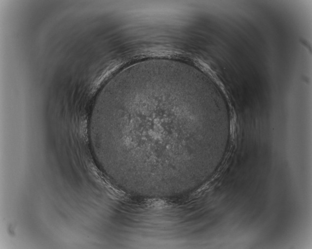 X0000102460249200808081234