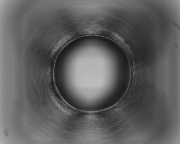 X0000102460250200808081234