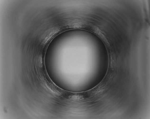 X0000102460251200808081234