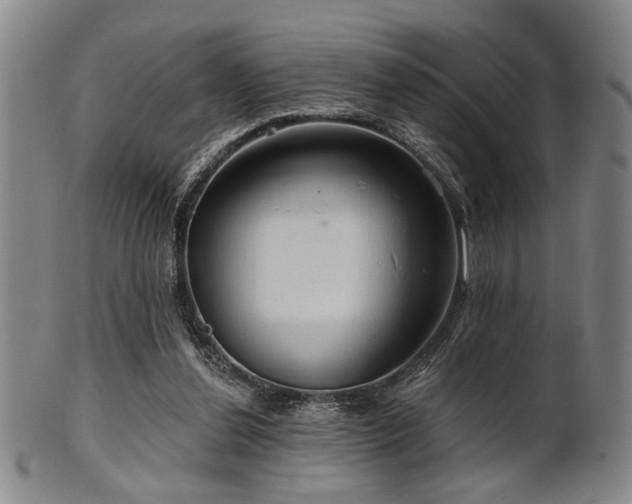 X0000102460252200808081234