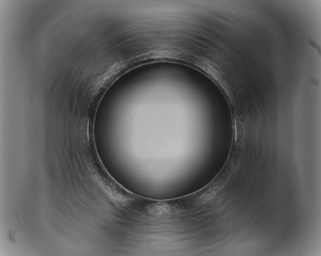 X0000102460253200808081234