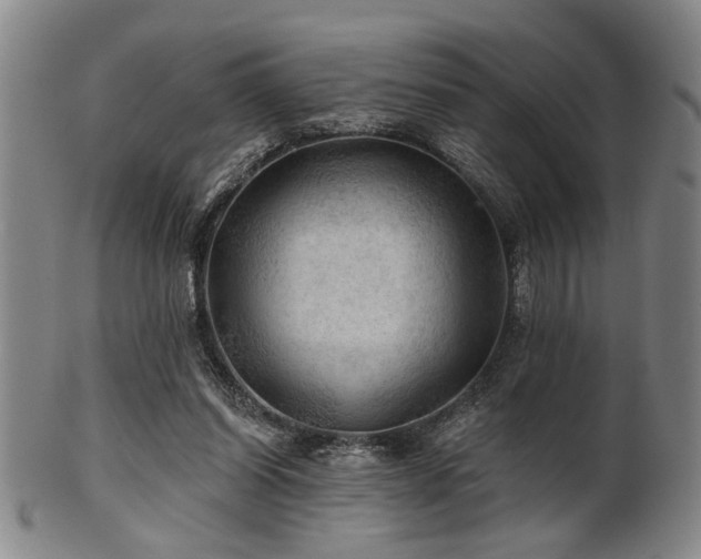 X0000102460254200808081234