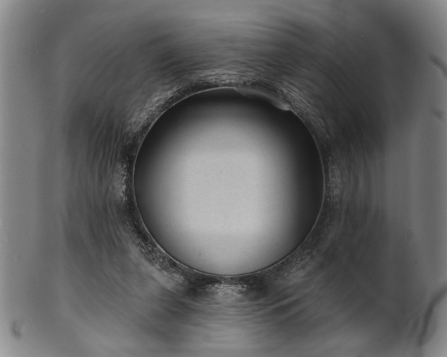 X0000102460255200808081234