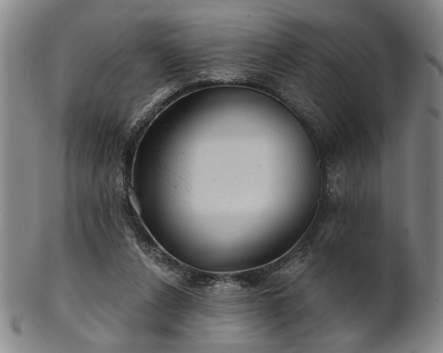 X0000102460256200808081234