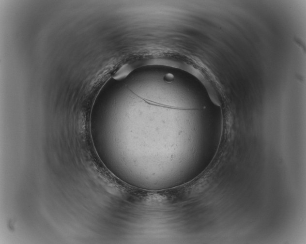 X0000102460257200808081234