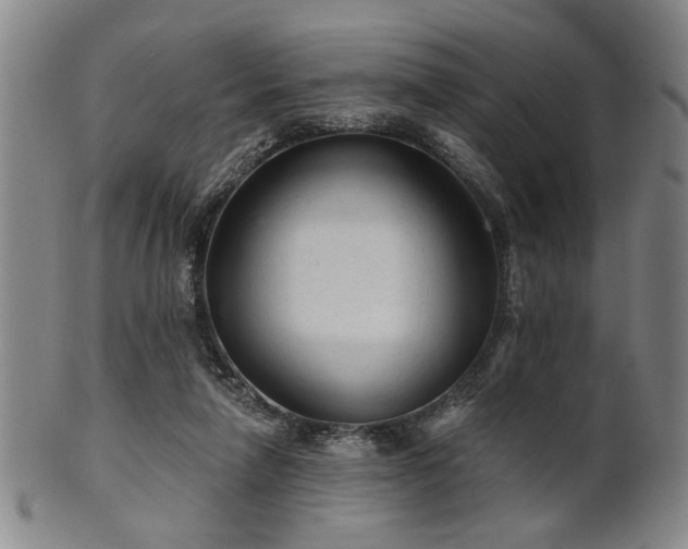 X0000102460258200808081234