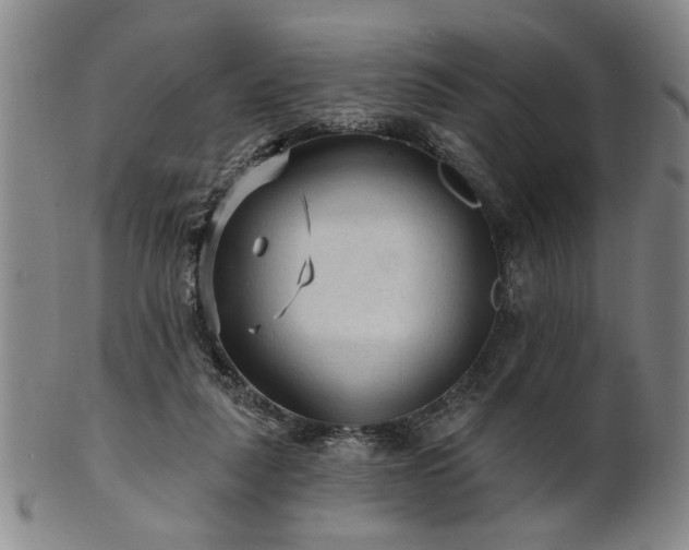 X0000102460259200808081234