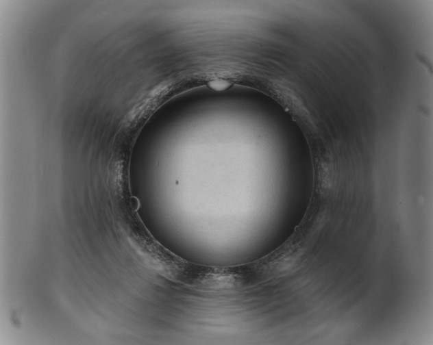 X0000102460260200808081234